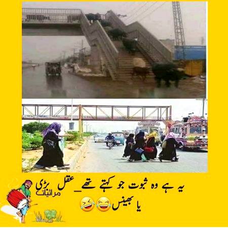 Social media post