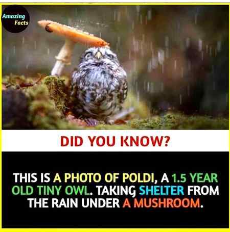 Interesting Posts image