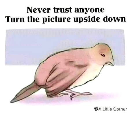 Social media post