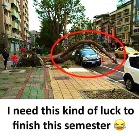 Social media post