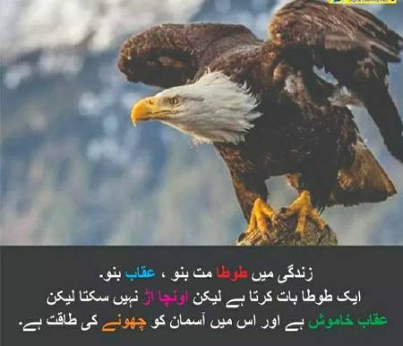 Social media post