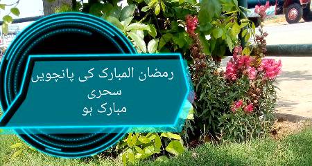 Social media post
