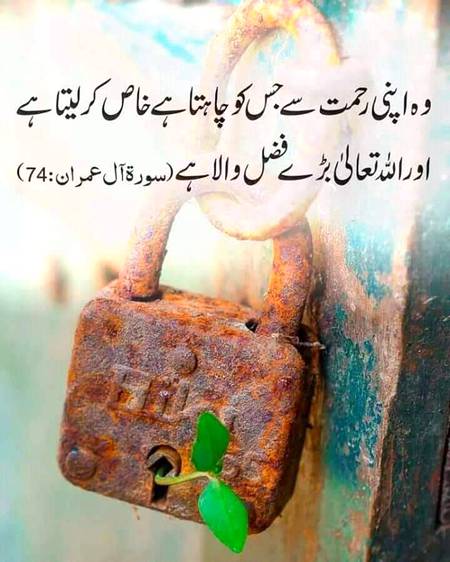 Social media post