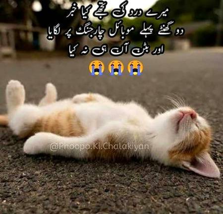 Social media post