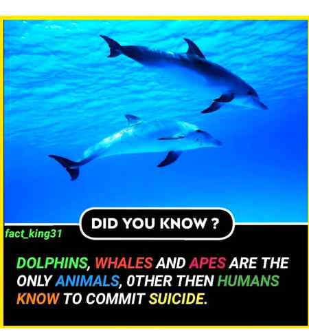 Interesting Posts image