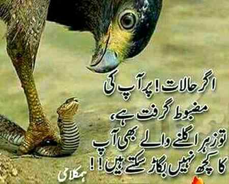 Social media post