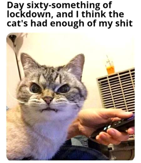 Social media post