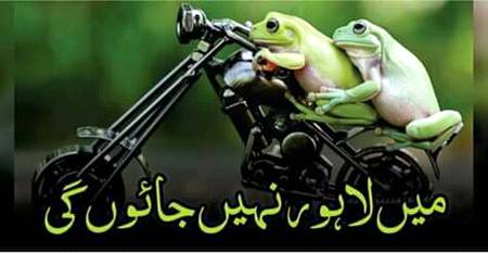 Social media post