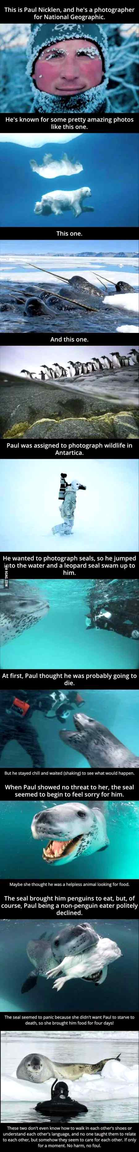 Social media post