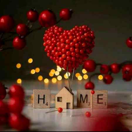 Stay home