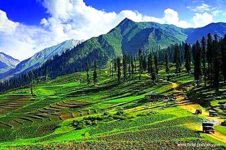 Subha bakhair