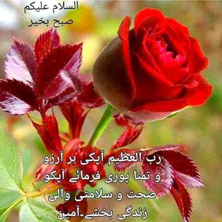 Subha bakhair