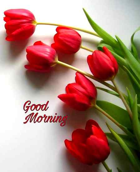 Subha bakhair