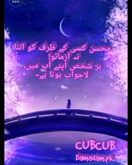 Urdu post