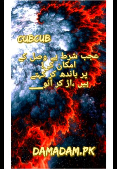 Urdu post