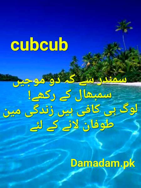 Urdu post