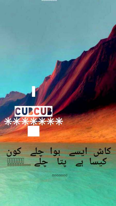 Urdu post