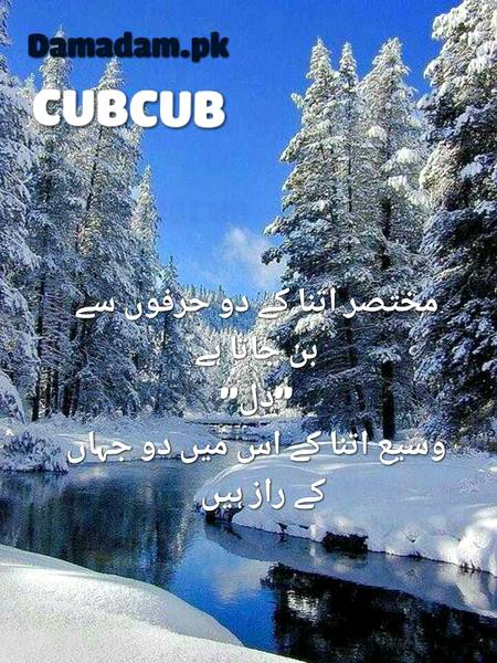 Urdu post