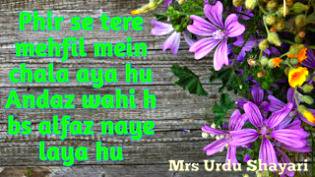 Urdu post
