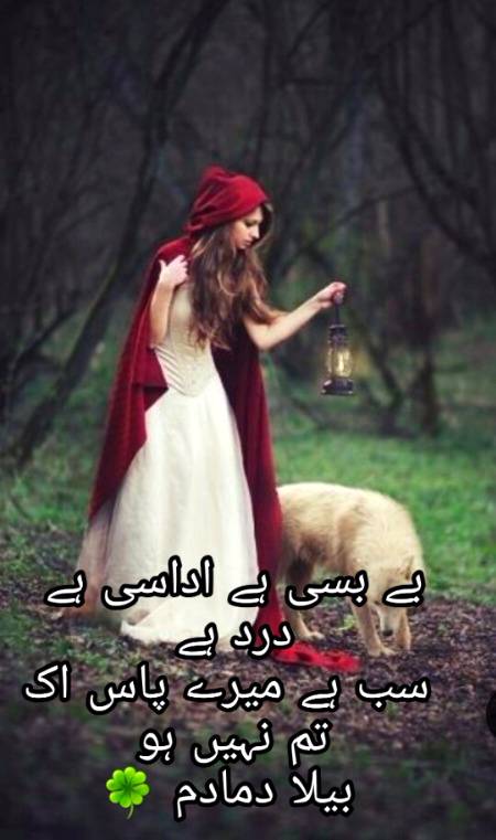 Urdu poetry
