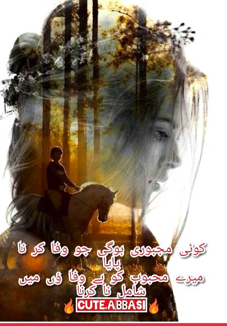 Urdu poetry