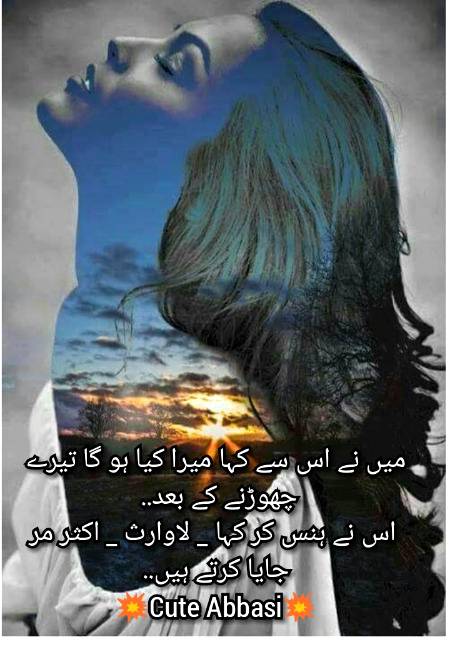 Urdu poetry
