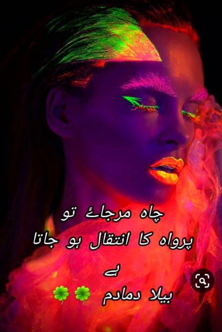Urdu poetry