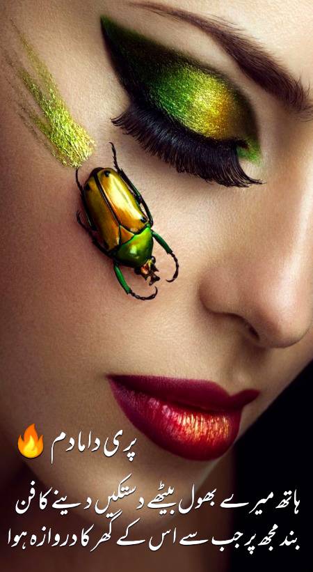 Urdu poetry