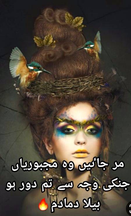 Urdu poetry