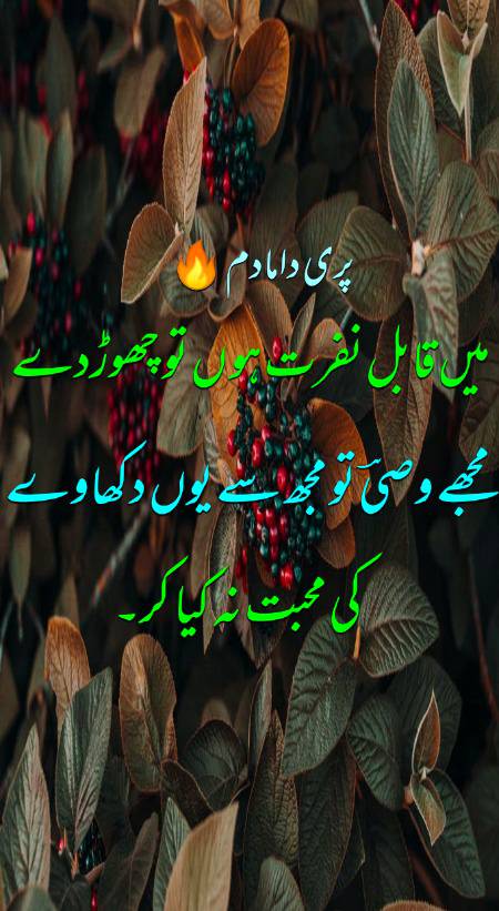 Urdu poetry
