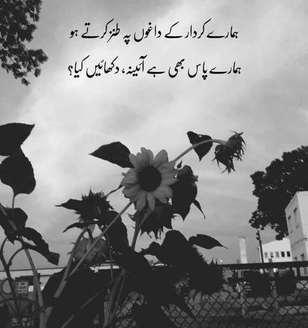 Urdu poetry