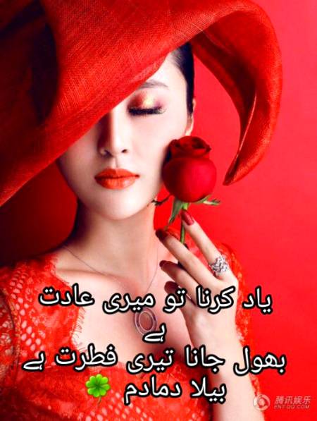 Urdu poetry