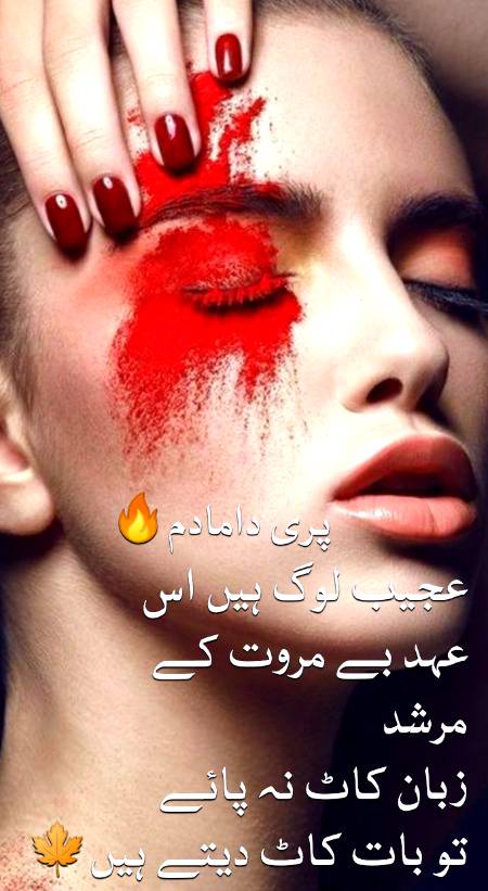 Urdu poetry