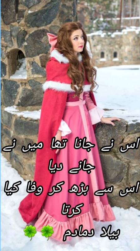 Urdu poetry