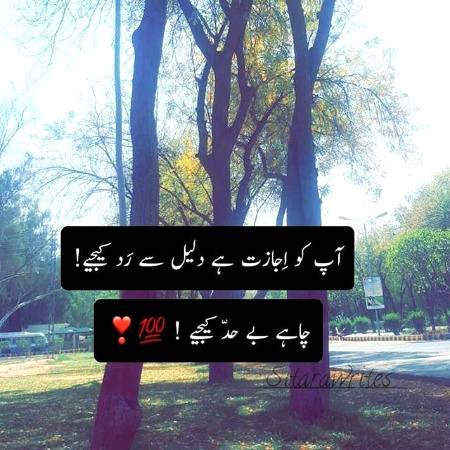 Urdu poetry