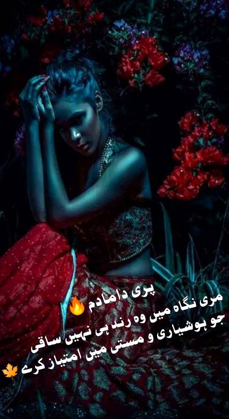 Urdu poetry