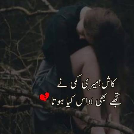 Urdu poetry