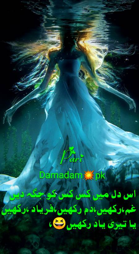 Urdu poetry