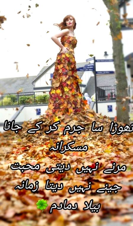 Urdu poetry