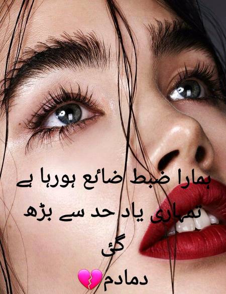 Urdu poetry