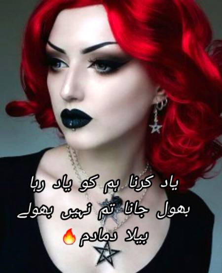 Urdu poetry