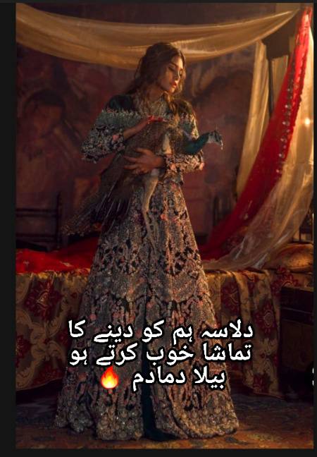 Urdu poetry
