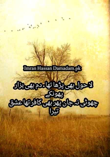 Urdu poetry