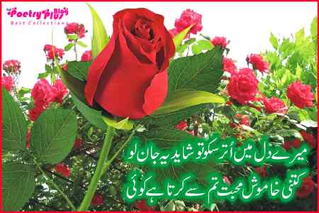 Urdu poetry