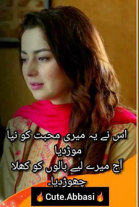 Urdu poetry