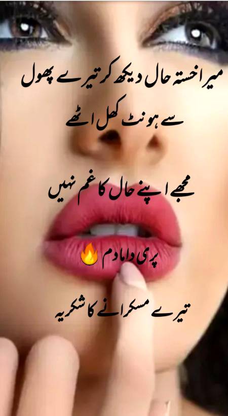 Urdu poetry