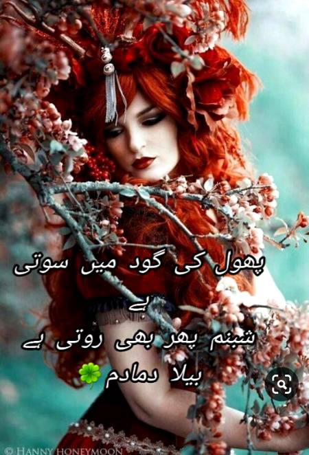 Urdu poetry