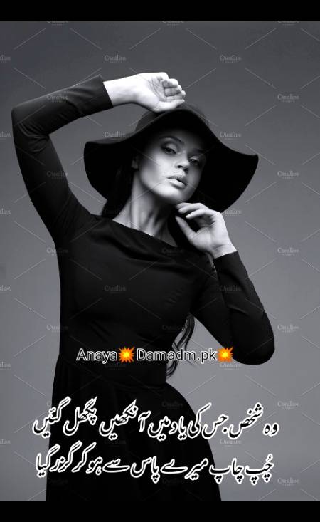 Urdu poetry