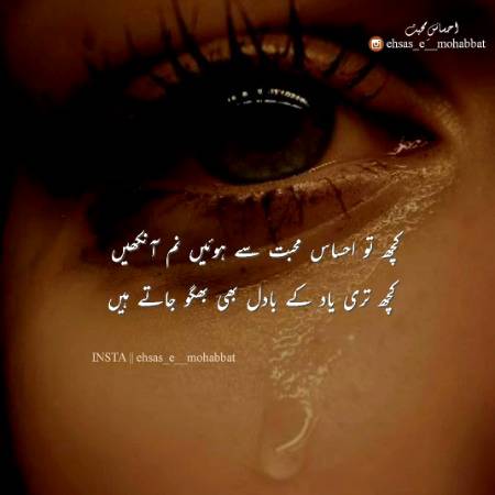 Urdu poetry