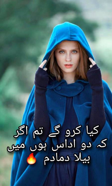 Urdu poetry
